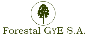 Forestal G y E S.A.